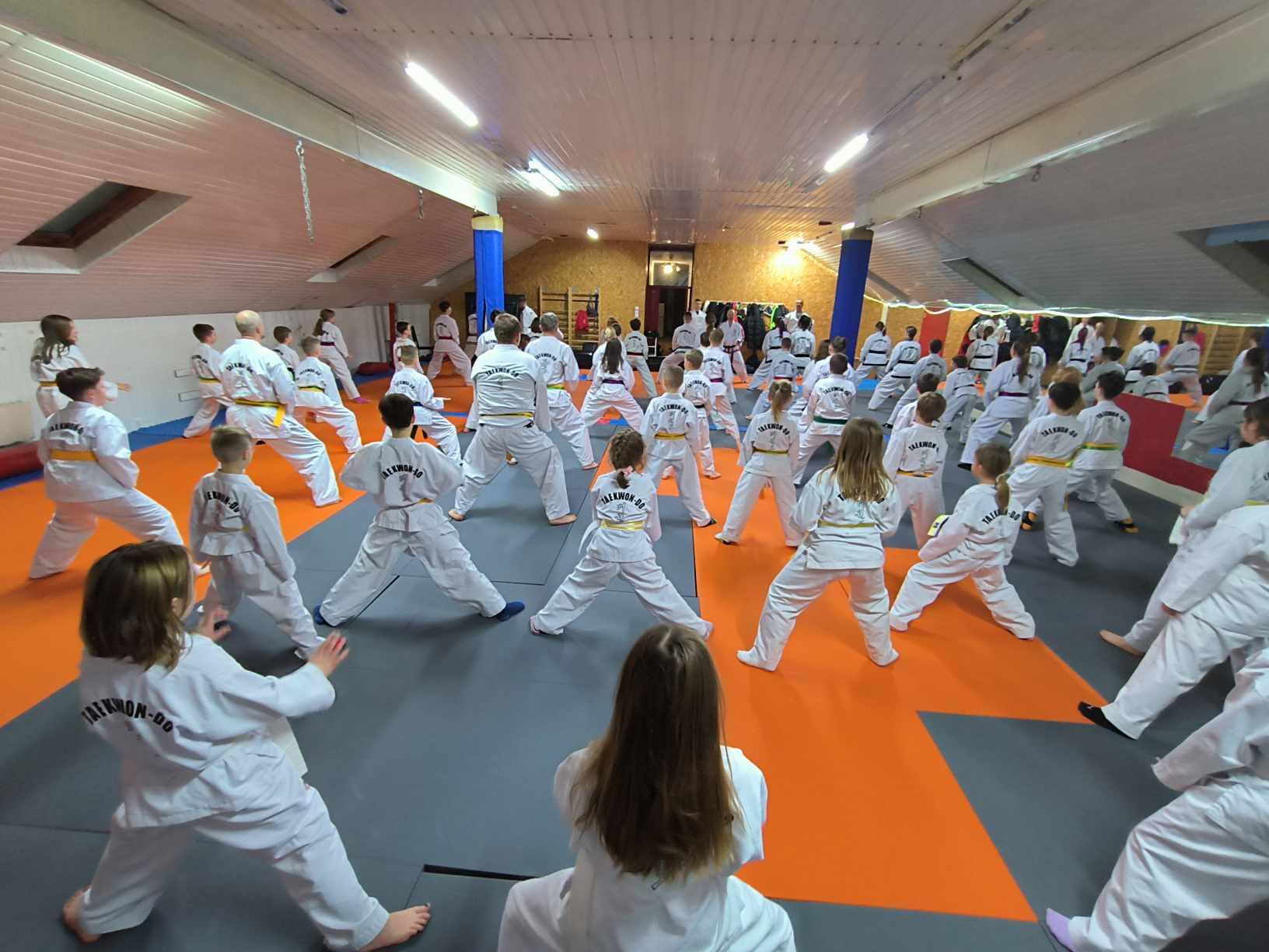 Grupa Taekwon-Do podczas wspólnego treningu